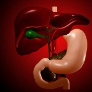 Gallbladder Cancer: An Overview